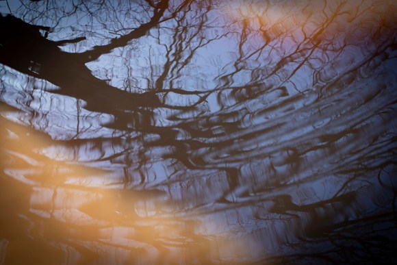 bushy_park_20-03-16_031_low