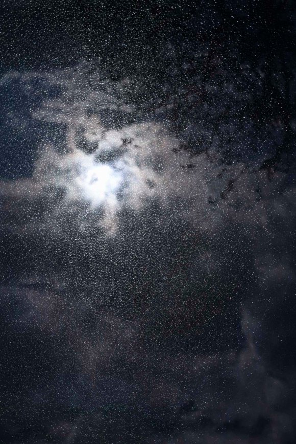 tdn_window_20-03-31_007_edit_low