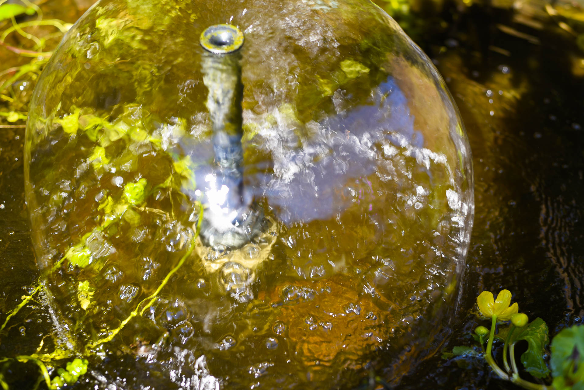 ted_gdn_20-03-26_004__edit_low