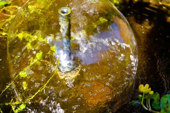 ted_gdn_20-03-26_004__edit_low