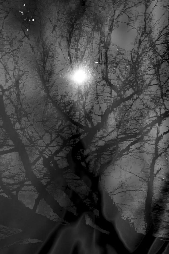 bushy_park_20-03-16_009_12x8_low