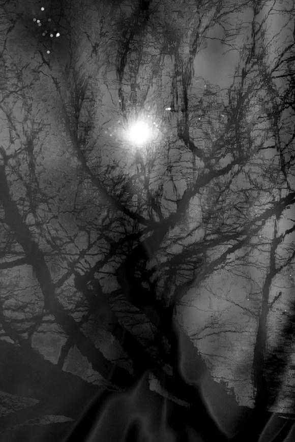 bushy_park_20-03-16_009_12x8_low