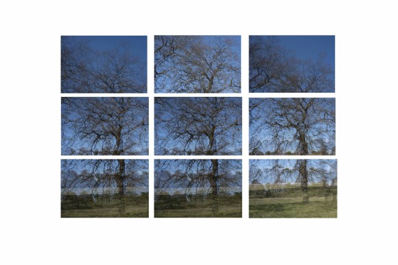 Double Exposure Grid 01