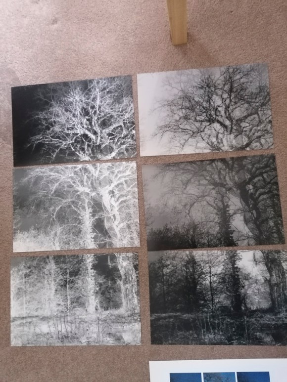 eternity_test_combos_002_low