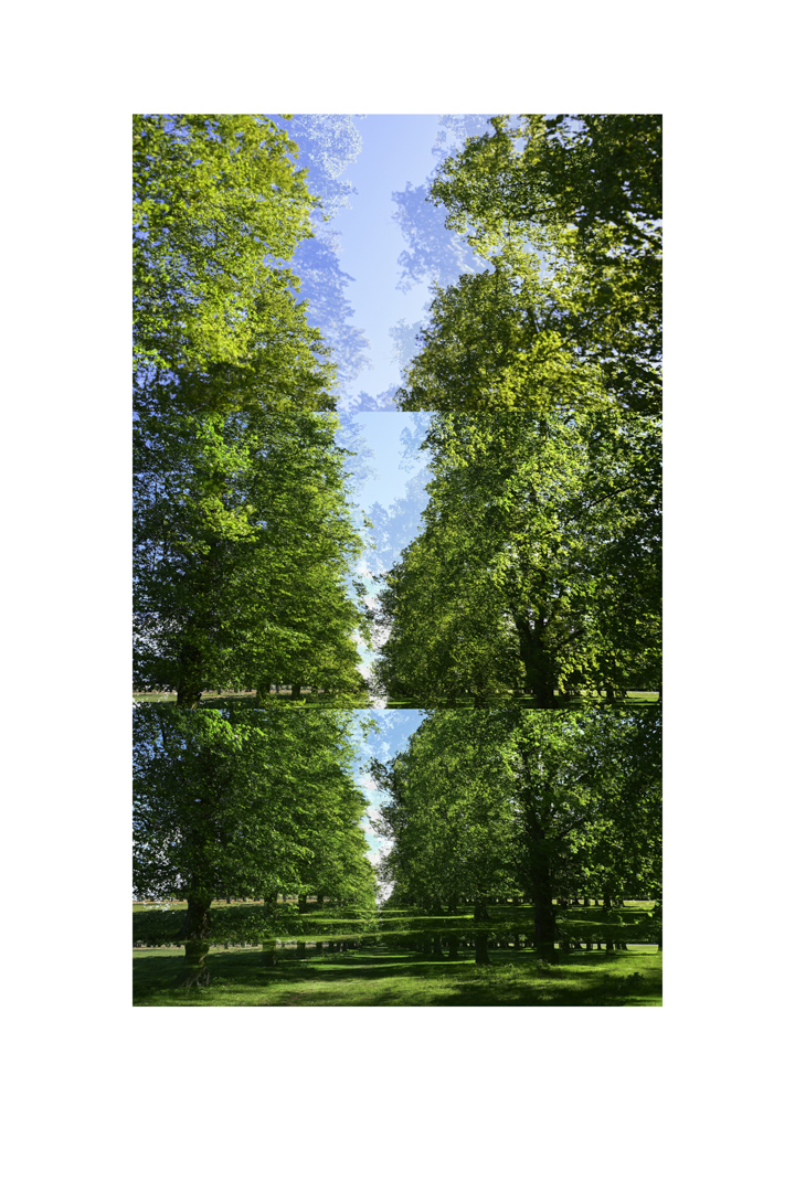 20-05-05_tree_ave_colour_8_test_colour_8_low