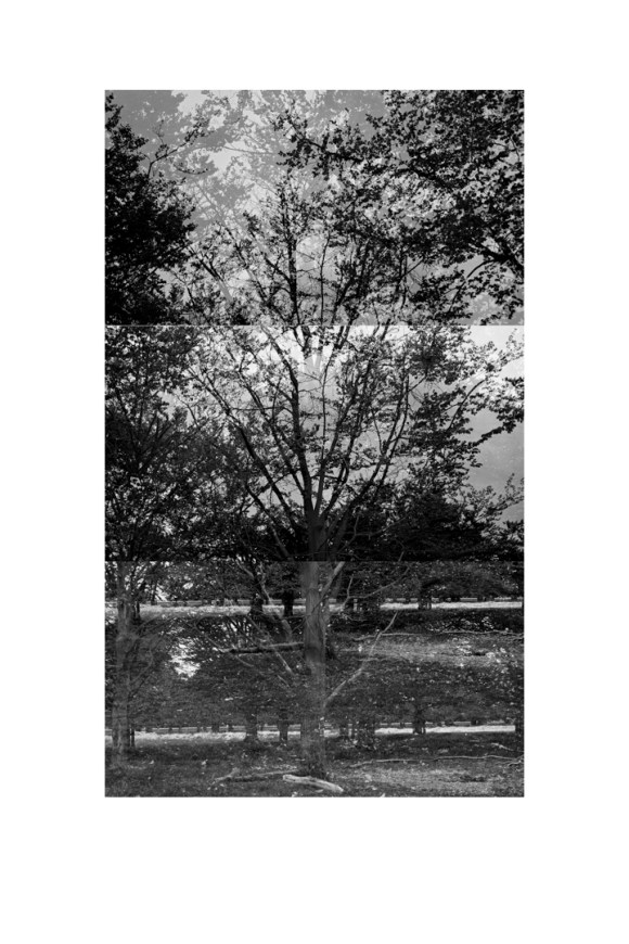 bp_20-05-03_tree_3_test_bw_8