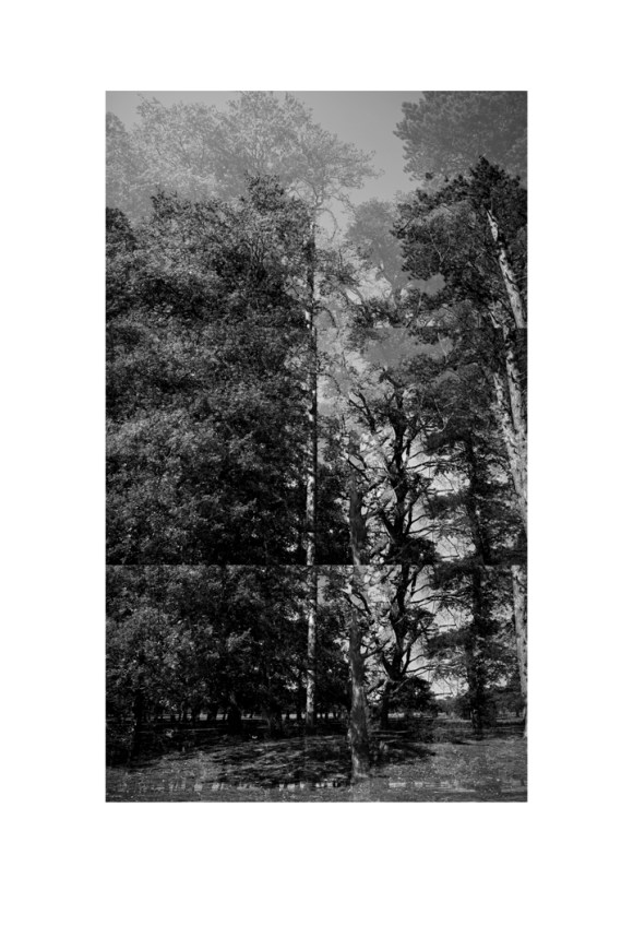 bp_20-05-05_tree_2_test_bw_8_low