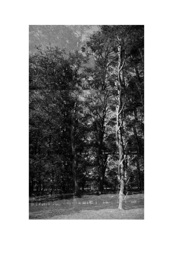 bp_20-05-05_tree_4_test_bw_8_low