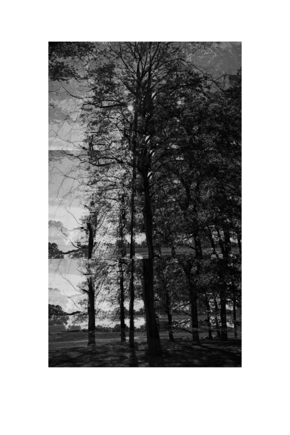 bp_20-05-05_tree_5_test_bw_8_low