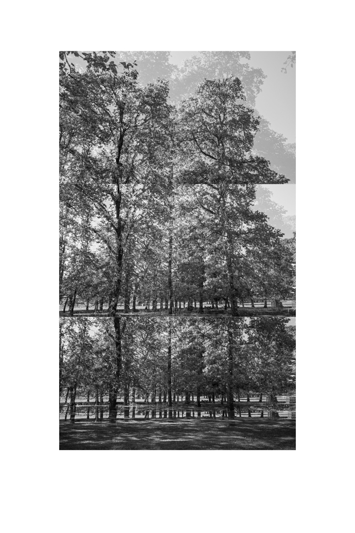 bp_20-05-05_tree_6_test_bw_8_low