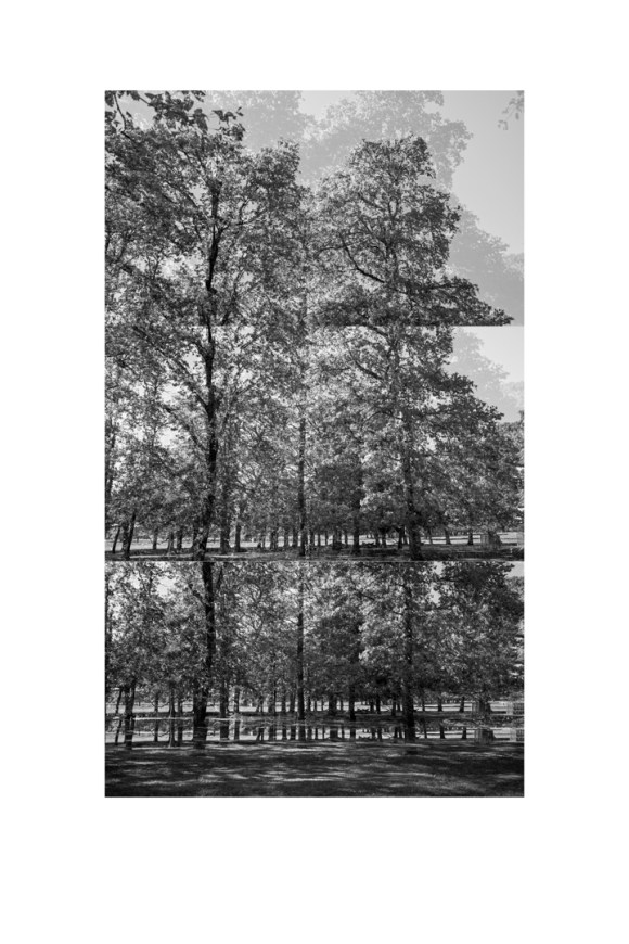 bp_20-05-05_tree_6_test_bw_8_low