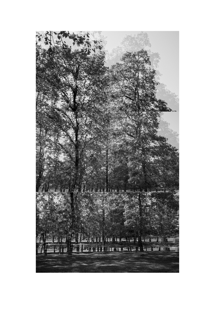 bp_20-05-05_tree_7_test_bw_8_low