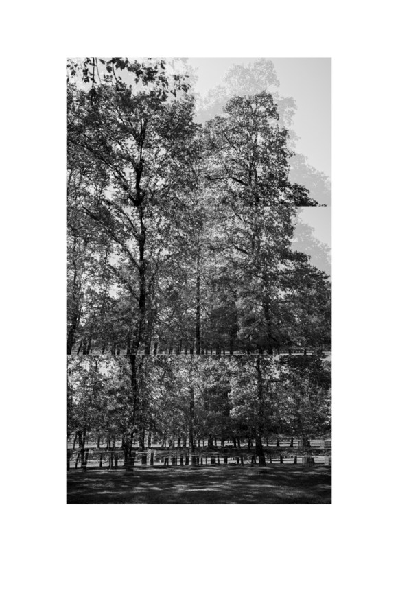 bp_20-05-05_tree_7_test_bw_8_low