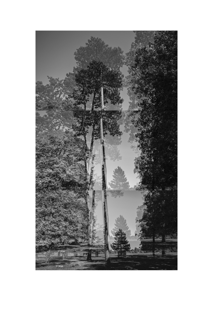 bp_20-05-05_tree_8_test_bw_8_low