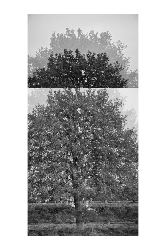 bptree_2_t1a_test_bw_1080