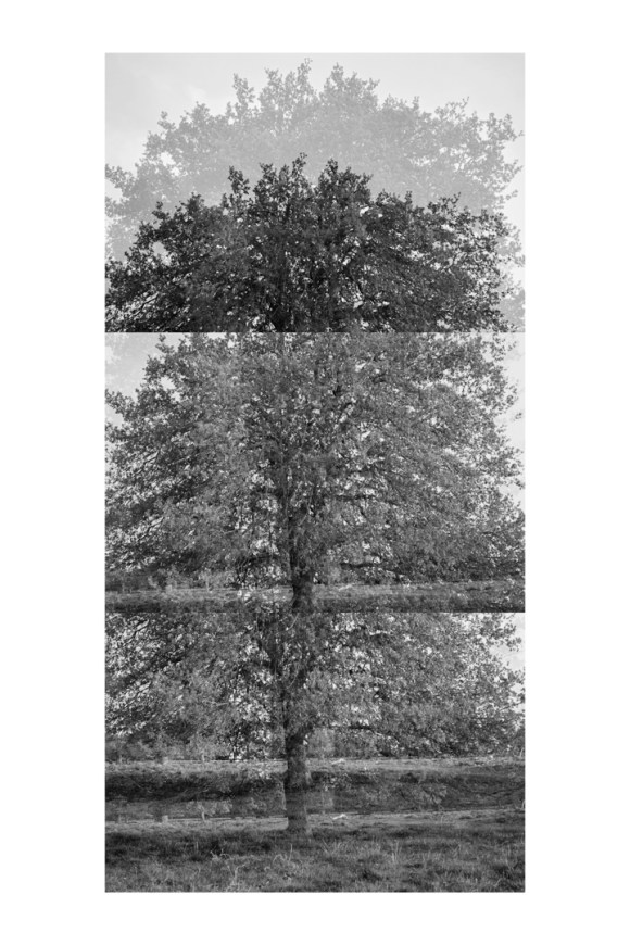 bptree_2_t2_test_bw_1080