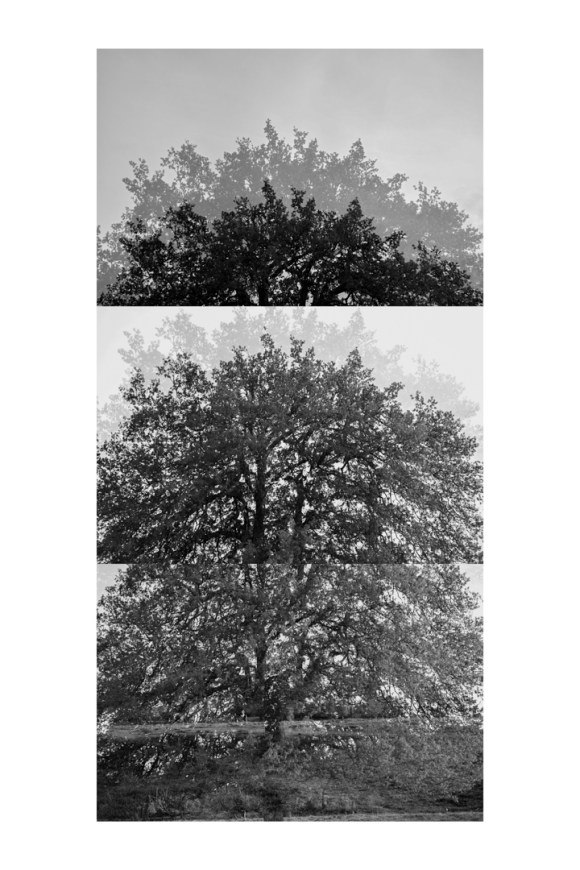 bptree_2_t3_test_bw_1080