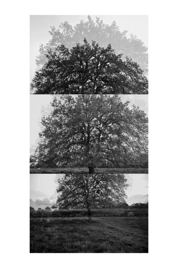 bptree_2_t4_test_bw_1080