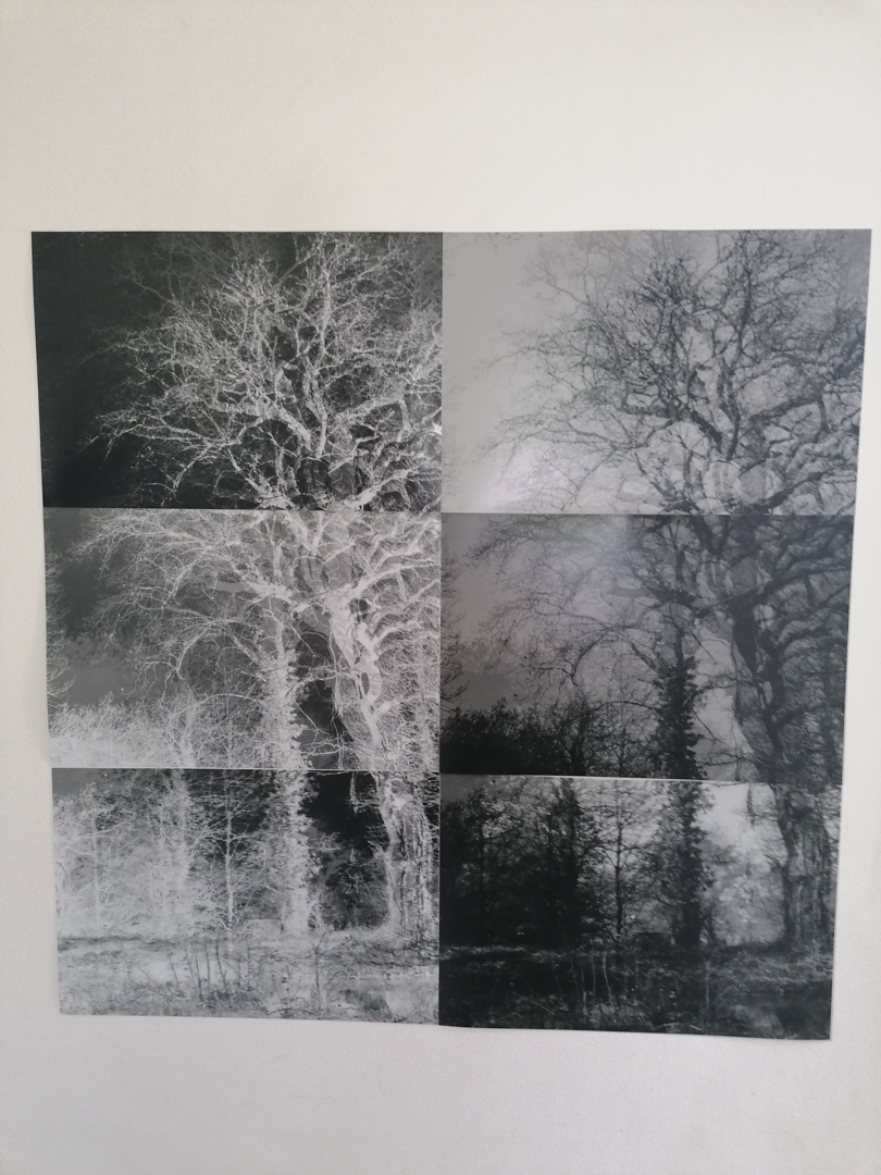 wall_test_shot_4_low