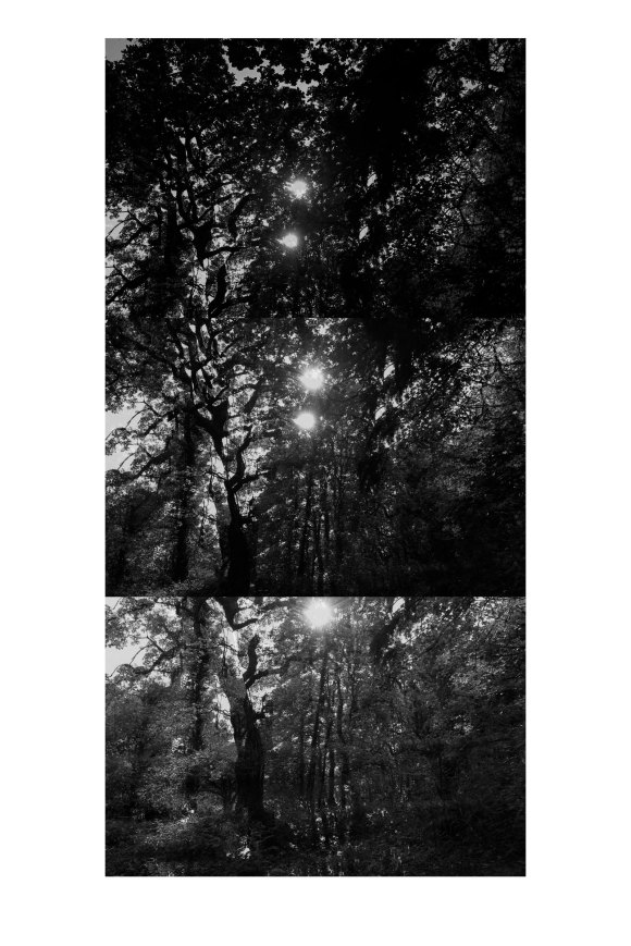 wg_20-05-21_5_bw_test_8_bw_low