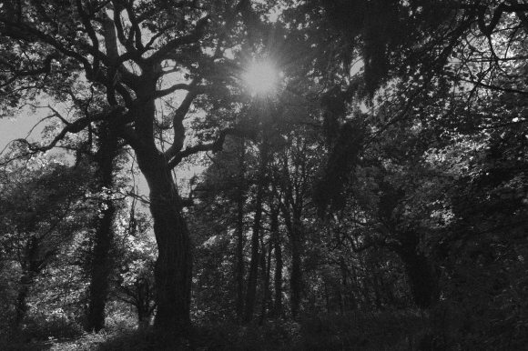 wg_20-05-21_5_s2a_lith_test_6x9_low