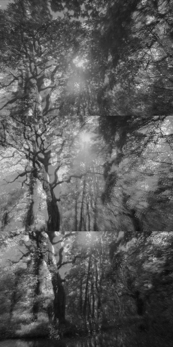 wg_20-05-21_all_three_18x9_low