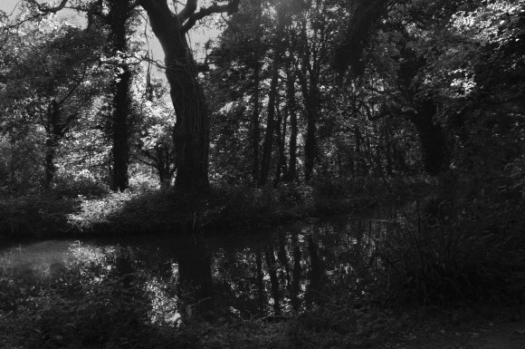 wg_20-05-21_s1a_digital_lith_print_low_6x9