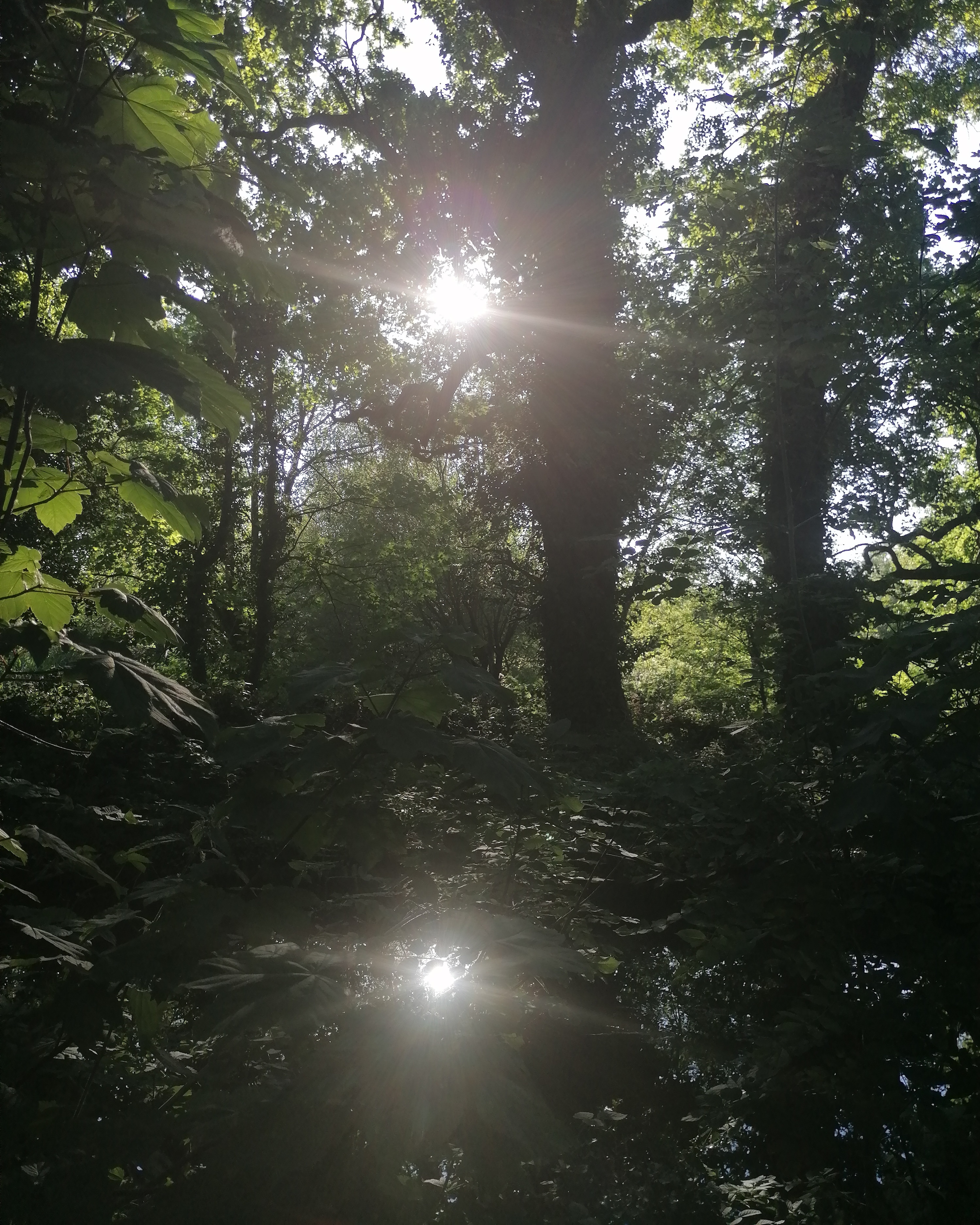 IMG_20200602_185257_098