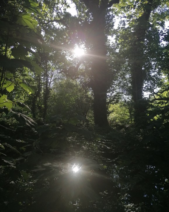 IMG_20200602_185257_098