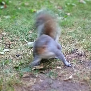 IMG_20200603_213218_421